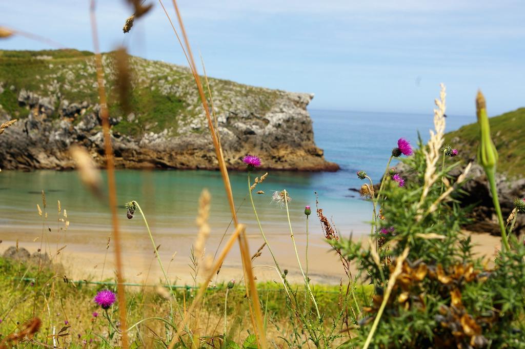 El Juacu Affittacamere Llanes Esterno foto